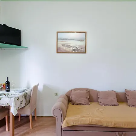 Apartament Mijatovic *